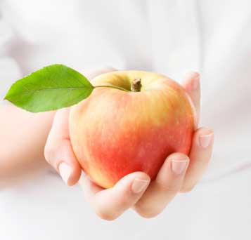 سیبیتا سیبیتا